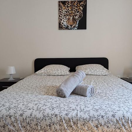 Le Mirage - Appartement 2 Chambres, Salon, Cuisine Equipee, Parking Et Wifi Gratuit Mulhouse Extérieur photo